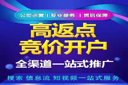 竞价排名中关键词出价策略的案例探讨
